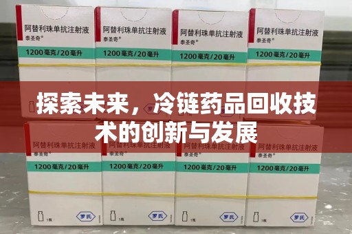 大连探索未来，冷链药品回收技术的创新与发展