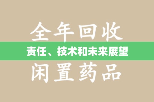 大连责任、技术和未来展望