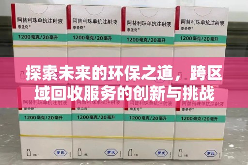 大连探索未来的环保之道，跨区域回收服务的创新与挑战