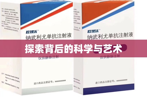 大连探索背后的科学与艺术