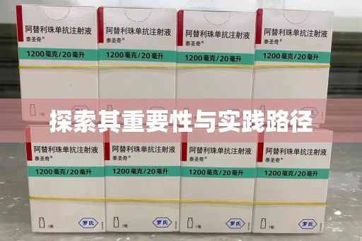 大连探索其重要性与实践路径
