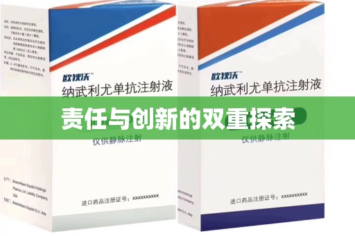 大连责任与创新的双重探索