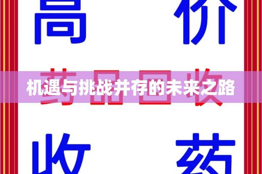 大连机遇与挑战并存的未来之路