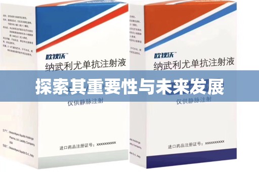 大连探索其重要性与未来发展