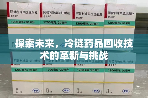 大连探索未来，冷链药品回收技术的革新与挑战