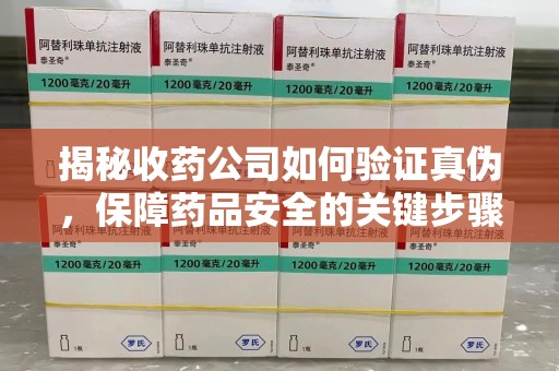 大连揭秘收药公司如何验证真伪，保障药品安全的关键步骤