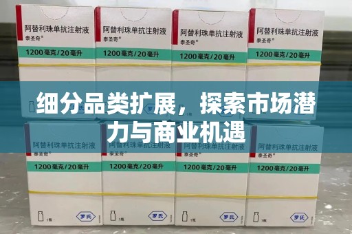 大连细分品类扩展，探索市场潜力与商业机遇