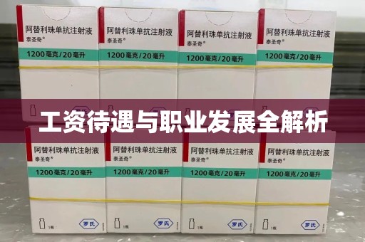 大连工资待遇与职业发展全解析