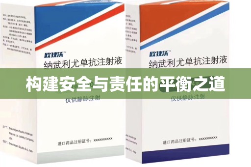 大连构建安全与责任的平衡之道