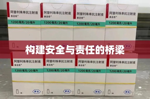 大连构建安全与责任的桥梁