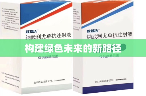 大连构建绿色未来的新路径