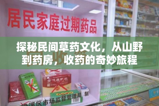 大连探秘民间草药文化，从山野到药房，收药的奇妙旅程