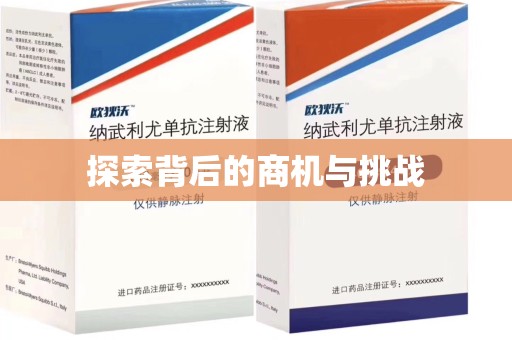 大连探索背后的商机与挑战