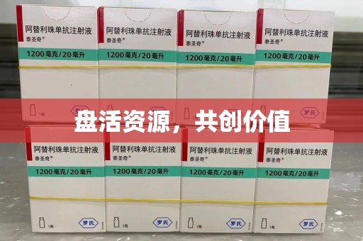 大连盘活资源，共创价值
