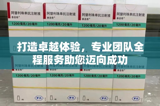 大连打造卓越体验，专业团队全程服务助您迈向成功